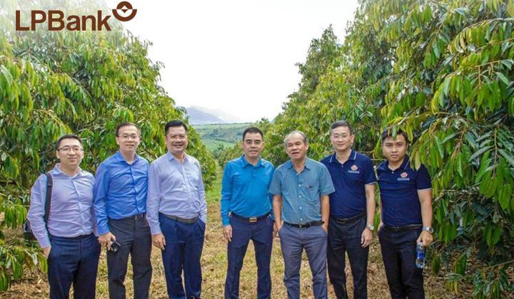 LPBank dành 6.000 tỷ đồng tín dụng 'xanh' cho miền Trung và Tây Nguyên