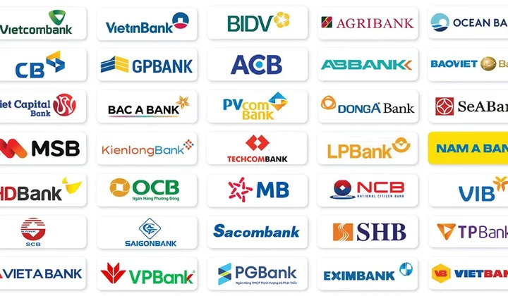 Một số hoạt động nổi bật của các tổ chức hội viên khu vực phía Nam