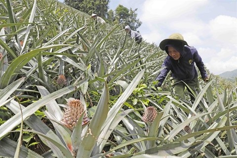 Central bank confident about credit growth this year