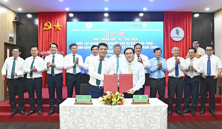 BIDV và VRG hợp tác toàn diện giai đoạn 2024 - 2029