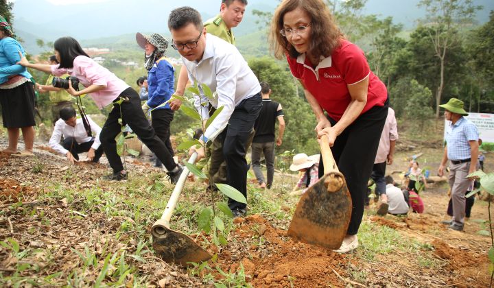 SeABank và Tập đoàn BRG chung tay phủ xanh gần 20ha rừng tại Lào Cai