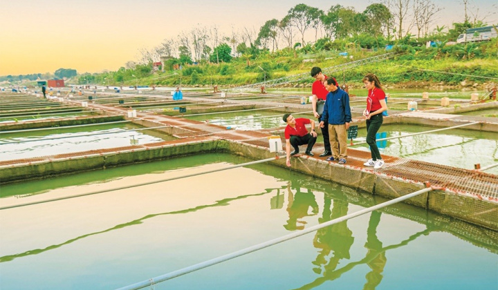 Agribank outlines obligation towards ESG-friendly policies