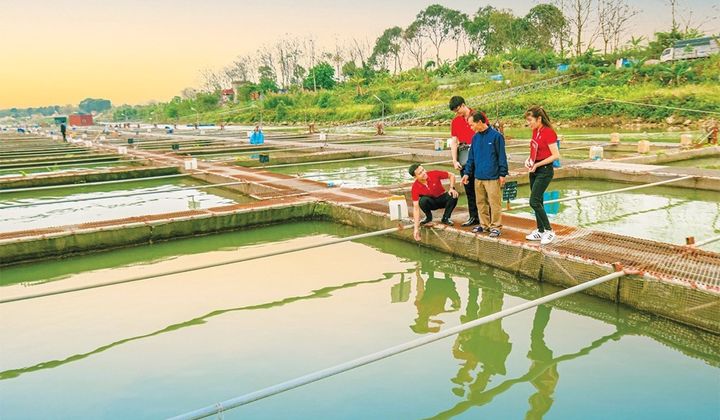 Agribank outlines obligation towards ESG-friendly policies