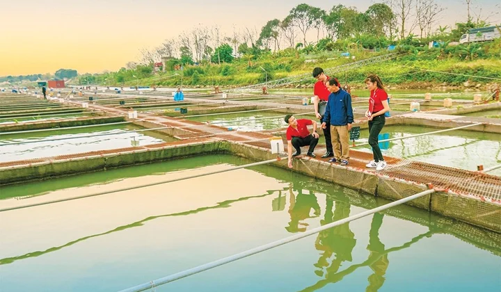 Agribank outlines obligation towards ESG-friendly policies