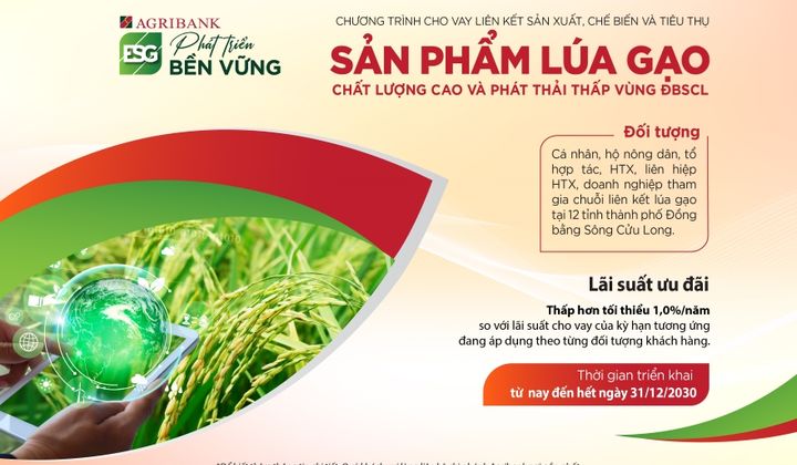 Agribank hỗ trợ 1% lãi suất vay cho khách hàng liên kết sản xuất lúa gạo chất lượng cao