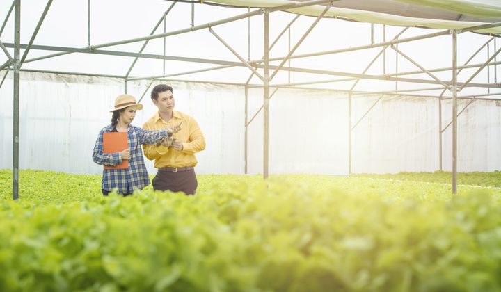 Bac A Bank tung 5.000 tỷ đồng cho doanh nghiệp vay ngắn hạn ưu đãi lãi suất 6,6%/năm