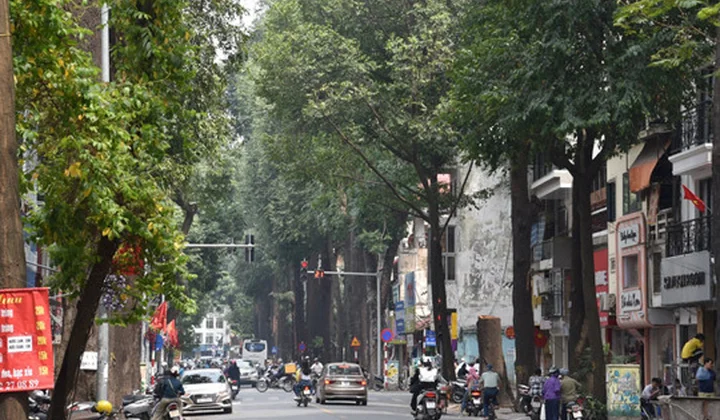 SaiGonBank Hà Nội bán đấu giá 91,8 m2 tại TP. Hà Nội, khởi điểm gần 4,7 tỷ đồng