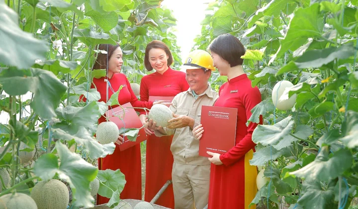 Agribank dành 185.000 tỷ đồng vốn ưu đãi lãi suất thấp hỗ trợ khách hàng