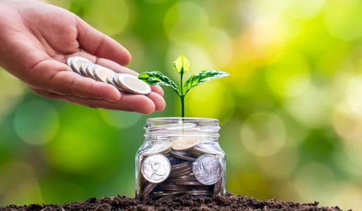 Chuyên gia nêu 7 giải pháp thúc đẩy tín dụng xanh