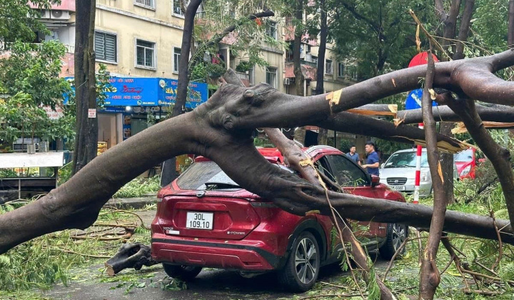 SBV orders debt relief and lending support following Typhoon Yagi