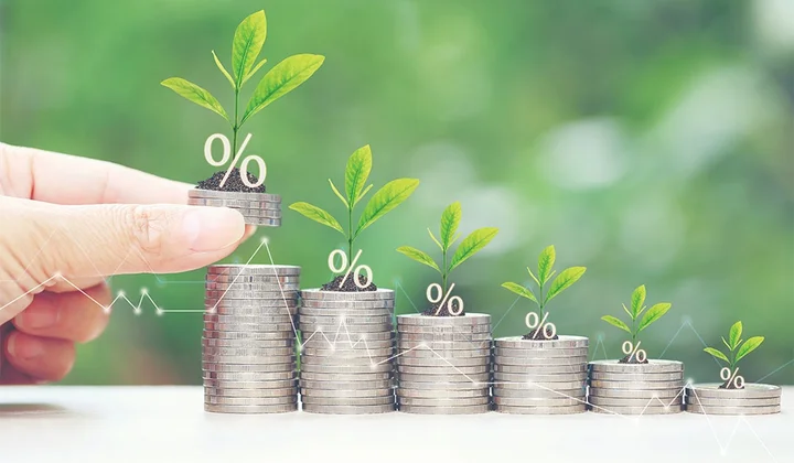 Lenders seek regulations to disburse green finance