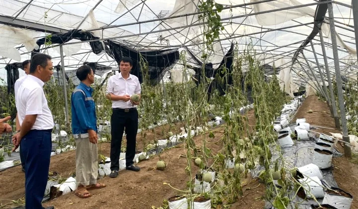 Agribank giảm tới 2% lãi suất hỗ trợ khách bị thiệt hại do bão số 3