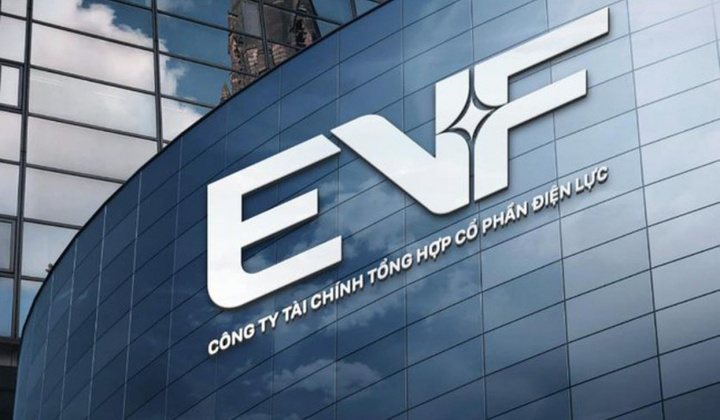 EVF hướng tới mục tiêu lợi nhuận 960 tỷ đồng năm 2025 sau tái định vị