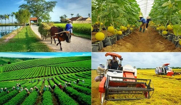 ADB và BIDV ký gói tài chính 250 triệu USD hỗ trợ nông nghiệp bền vững, nữ chủ DN