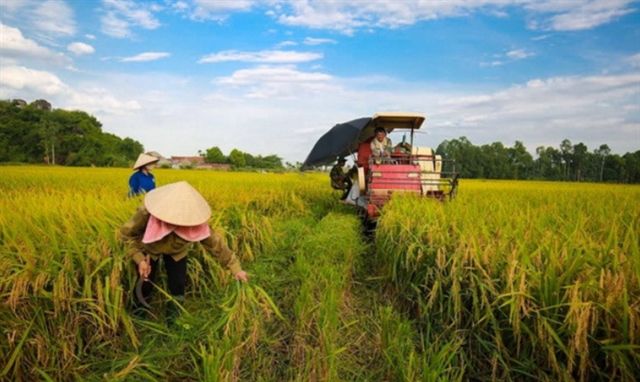 ADB, BIDV support Việt Nam’s sustainable agriculture with $250 million financing package