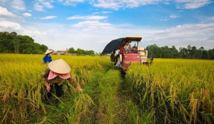 ADB, BIDV support Việt Nam’s sustainable agriculture with $250 million financing package