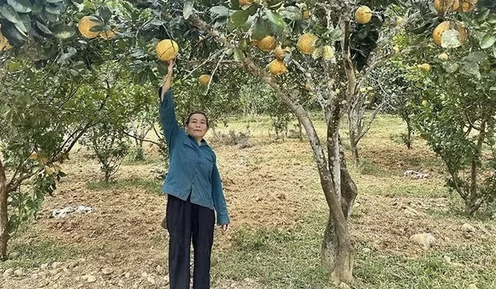 Khẳng định vai trò ngân hàng chủ lực đầu tư phát triển nông thôn