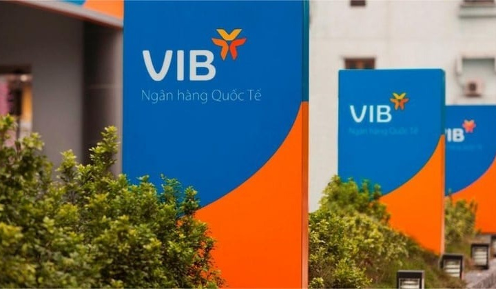 Vietnam banks unveil business plans for 2025