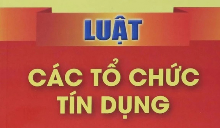 VNBA mời hội viên góp ý dự án Luật sửa đổi, bổ sung một số điều của Luật các TCTD 2024