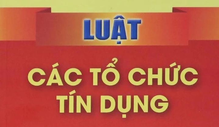 VNBA mời hội viên góp ý dự án Luật sửa đổi, bổ sung một số điều của Luật các TCTD 2024