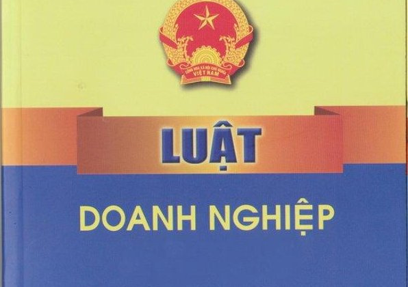 Draft Law amending and supplementing the Law on Enterprises