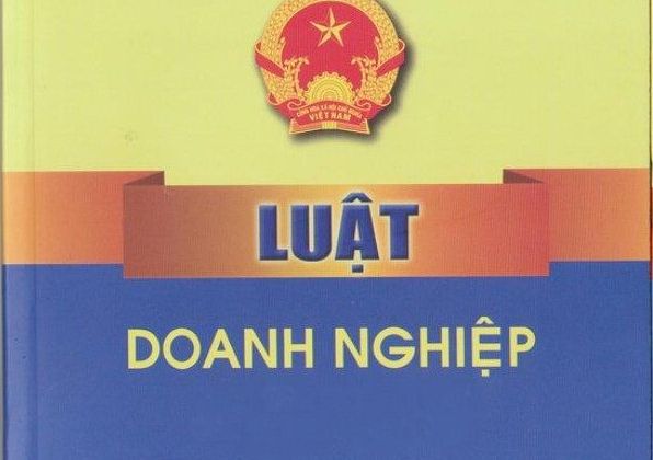 Draft Law amending and supplementing the Law on Enterprises