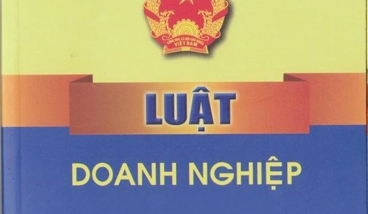 Draft Law amending and supplementing the Law on Enterprises