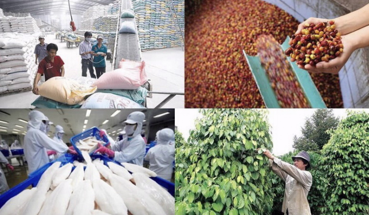 Credit Program worth VND 100,000 billion for Agriculture, Forestry and Fisheries Sectors