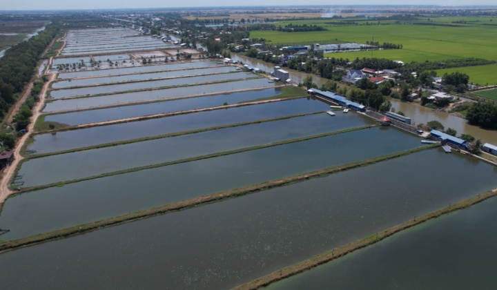 Agribank đẩy mạnh tín dụng ưu đãi lĩnh vực nông, lâm, thủy sản