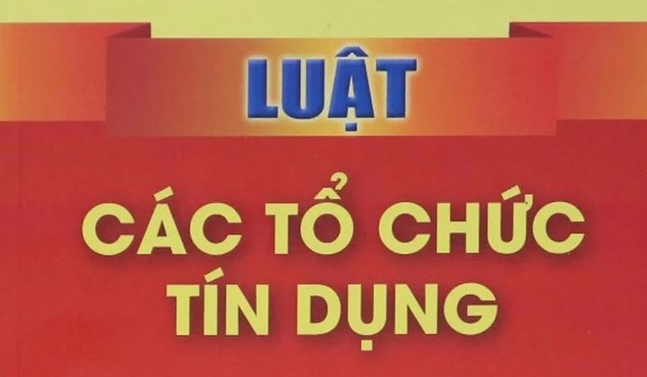 Hội thảo "Góp ý dự thảo Luật sửa đổi, bổ sung một số điều của Luật Các TCTD 2024"