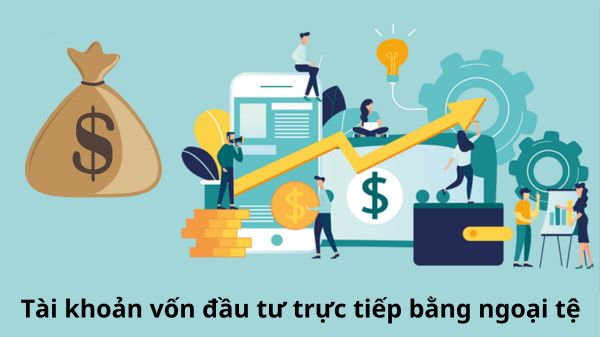 VNBA lấy ý kiến hội viên về dự thảo Thông tư thay thế Thông tư 31