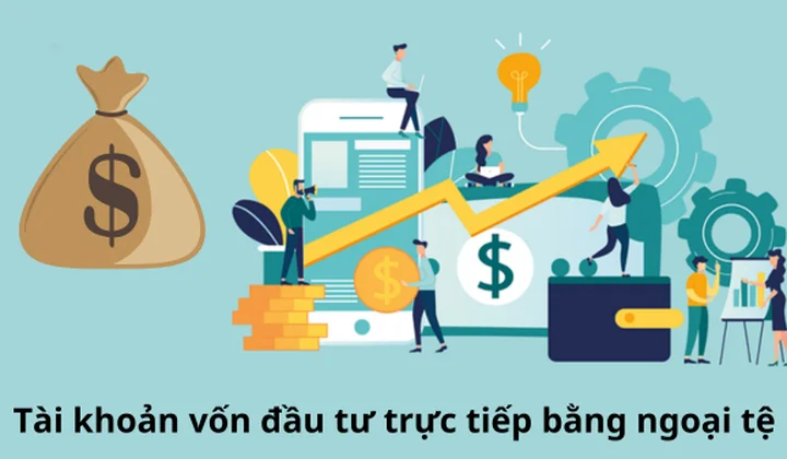 VNBA lấy ý kiến hội viên về dự thảo Thông tư thay thế Thông tư 31