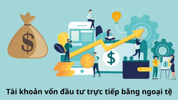 VNBA lấy ý kiến hội viên về dự thảo Thông tư thay thế Thông tư 31