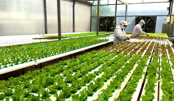 More credit policies to encourage organic and circular agriculture