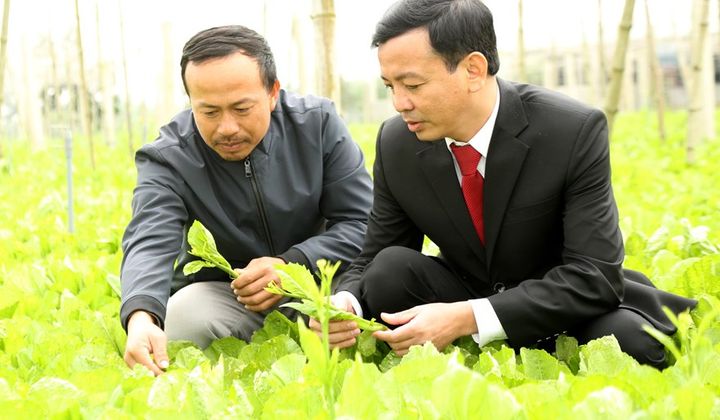 Agribank tiếp sức người nông dân trên hành trình lập nghiệp