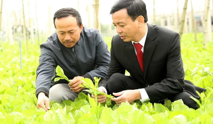 Agribank tiếp sức người nông dân trên hành trình lập nghiệp
