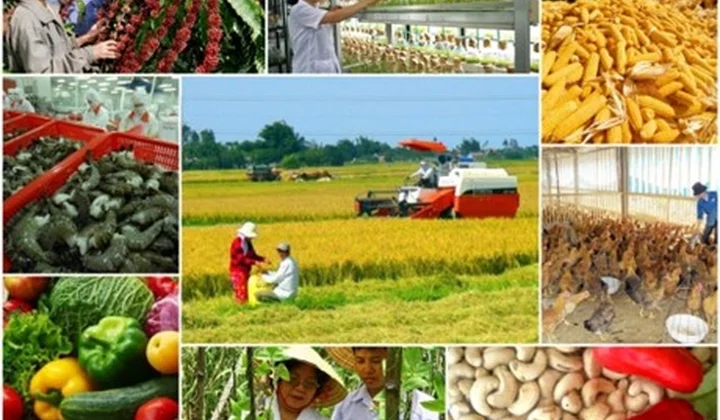 VNBA lấy ý kiến hội viên về chính sách tín dụng nông nghiệp, nông thôn