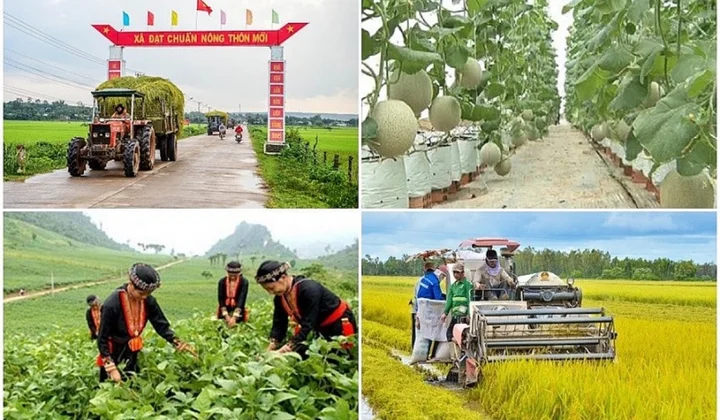 VNBA lấy ý kiến hội viên về Dự thảo Thông tư hướng dẫn chính sách tín dụng nông nghiệp nông thôn