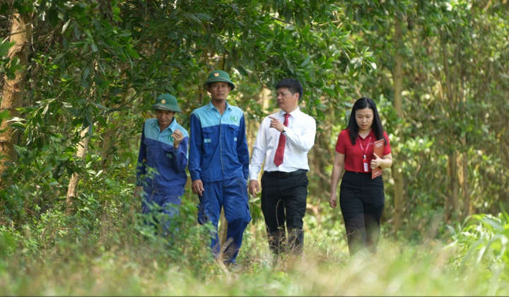 Agribank mở đường tín chỉ carbon Việt ra thị trường quốc tế