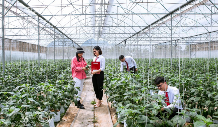 Tín dụng xanh tại Agribank: Dấu ấn tiên phong vì sự phát triển bền vững