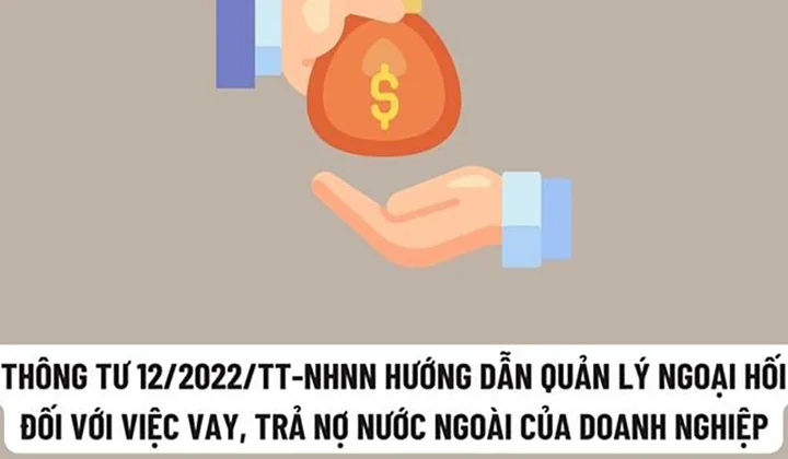VNBA lấy ý kiến hội viên về dự thảo Thông tư sửa đổi, bổ sung Thông tư 12