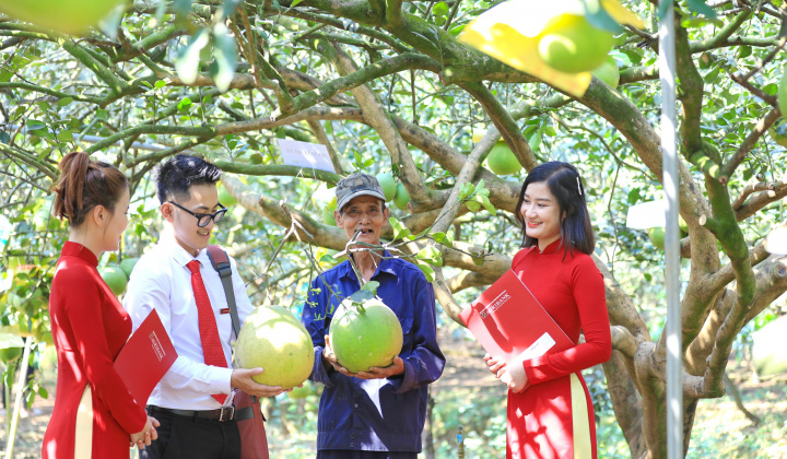 Agribank thúc đẩy phát triển bền vững với chương trình ưu đãi “xanh”