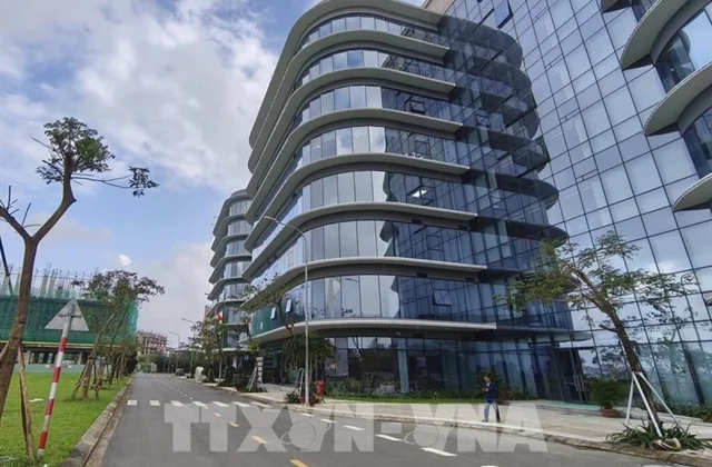 Việt Nam’s IFC takes shape after more than one month since establishment