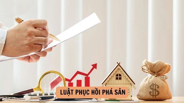 VNBA mời hội viên góp ý dự thảo Nghị quyết hướng dẫn thi hành Luật Phục hồi, phá sản