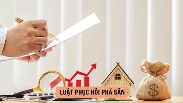 VNBA mời hội viên góp ý dự thảo Nghị quyết hướng dẫn thi hành Luật Phục hồi, phá sản