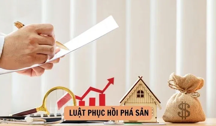 VNBA mời hội viên góp ý dự thảo Nghị quyết hướng dẫn thi hành Luật Phục hồi, phá sản