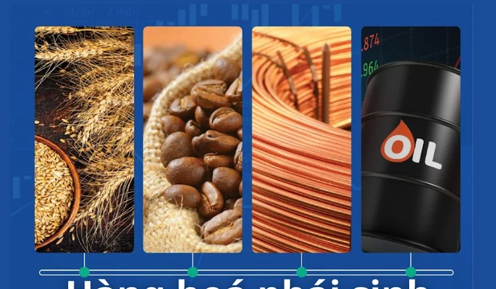 VNBA lấy ý kiến hội viên về dự án Luật Giao dịch hàng hóa phái sinh