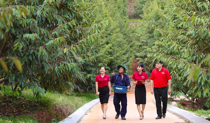 Agribank “xanh hóa” tín dụng, thúc đẩy phát triển năng lượng sạch