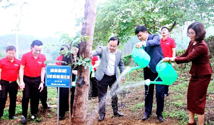 Agribank tham gia Chương trình “Về nguồn” và “Tết trồng cây” ngành Ngân hàng tại Tuyên Quang