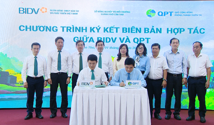 BIDV và Quỹ Cộng đồng phòng tránh thiên tai trồng 240.000 cây xanh tại Đồng bằng sông Cửu Long